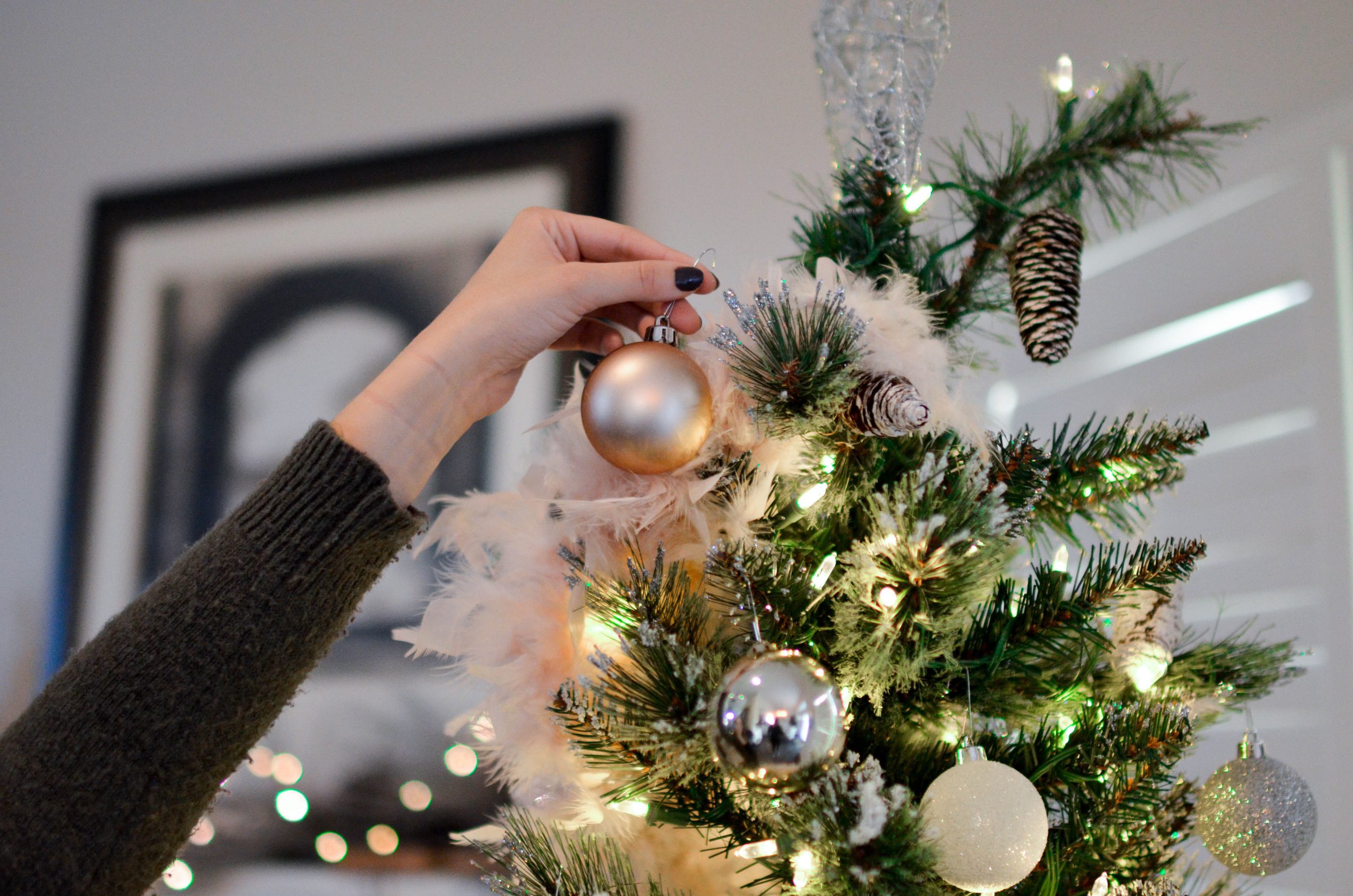 As the weather cools, there is no better time to update your apartment’s décor for the wintertime. This is a time to transition from brighter to darker colors and holiday decorations that liven up your space. While it may seem like this could be expensive, you can easily do this on a budget without even painting your walls.
